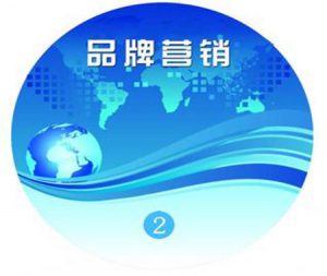 企业品牌推广营销策划